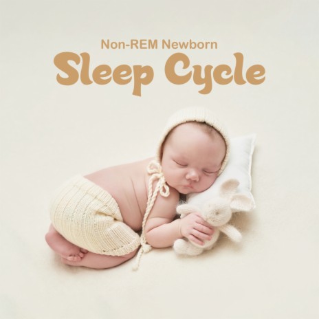 Non-REM Newborn Sleep Cycle