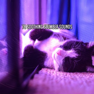78 Soothing Slumber Sounds