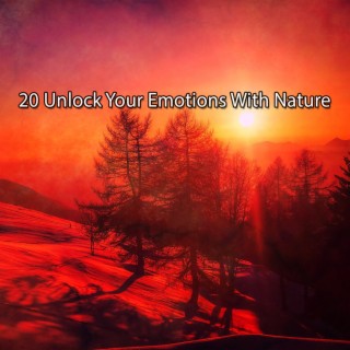 20 Unlock Your Emotions With Nature