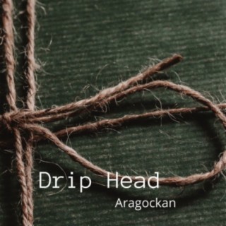 Drip Head