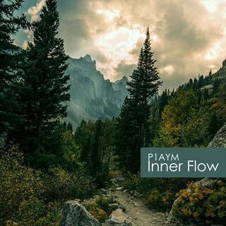 Inner Flow