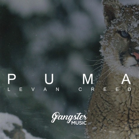 Puma | Boomplay Music