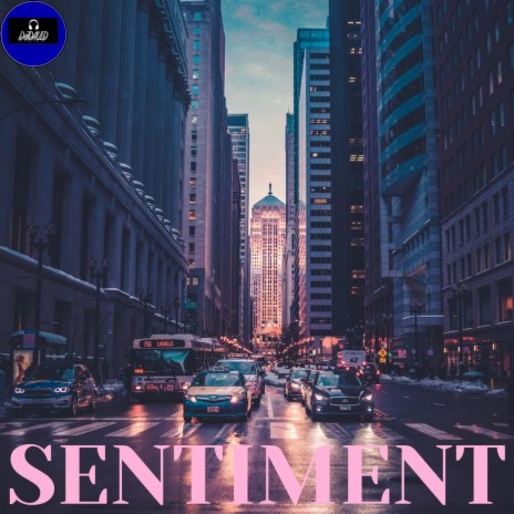 Sentiment (Radio Edit) | Boomplay Music