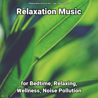 Relaxation Music for Bedtime, Relaxing, Wellness, Noise Pollution
