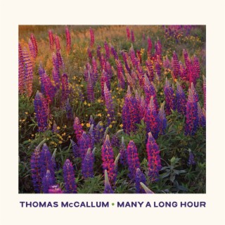 Thomas McCallum