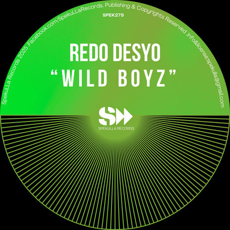 Wild Boyz | Boomplay Music