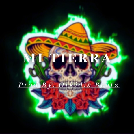 Mi Tierra (Latín Guitar Beat)