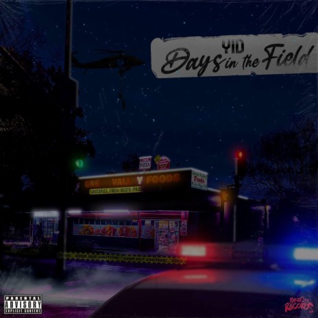 Days In The Field | Boomplay Music