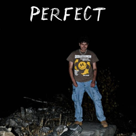 PERFECT | Boomplay Music