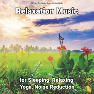 Relaxation Music for Sleeping, Relaxing, Yoga, Noise Reduction