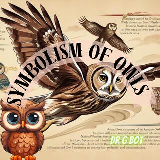 Symbolism Of Owls