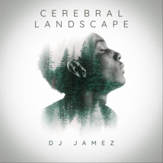 Cerebral Landscape