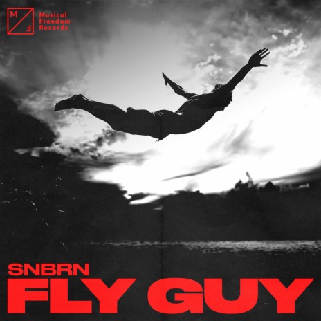 Fly Guy | Boomplay Music