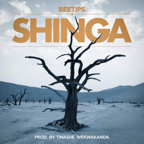 Shinga | Boomplay Music