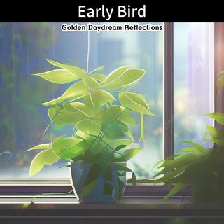 Early Bird