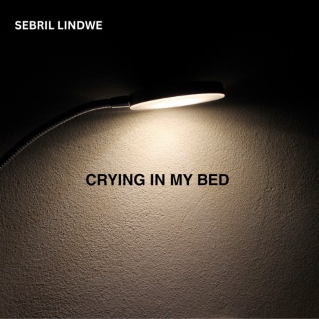 Crying in My Bed | Boomplay Music