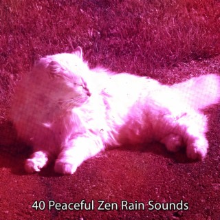40 Peaceful Zen Rain Sounds