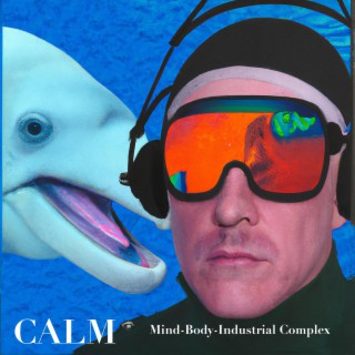 Mind-Body-Industrial Complex