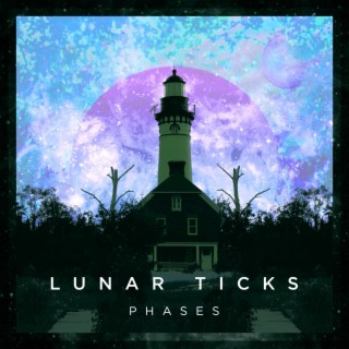 Phases: Night