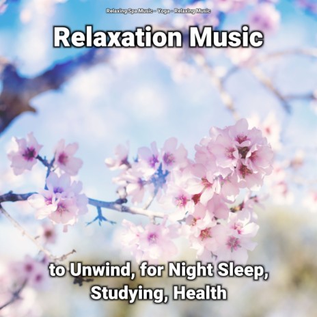 Thoughtful Ambient Sounds ft. Relaxing Spa Music & Relaxing Music | Boomplay Music