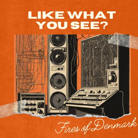 Like What You See (Instrumental Mix) | Boomplay Music