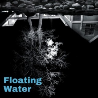 Floating Water