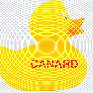 Canard