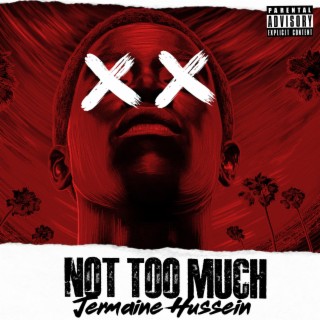 Not Too Much lyrics | Boomplay Music