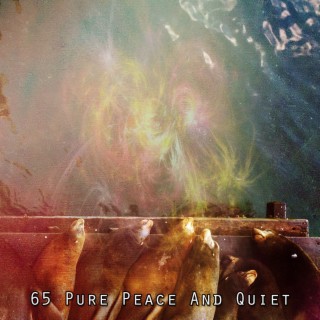 65 Pure Peace And Quiet