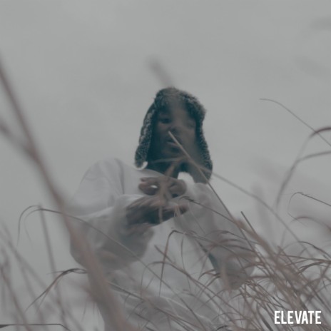 Elevate | Boomplay Music