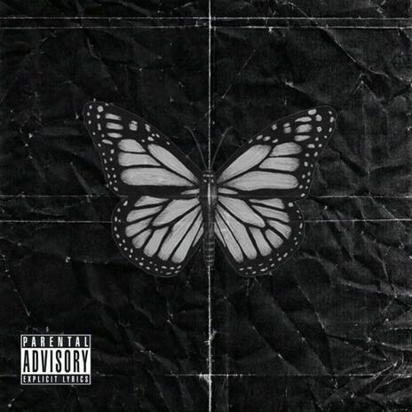 Butterfly | Boomplay Music