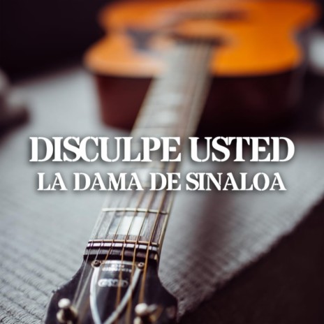 Disculpe usted