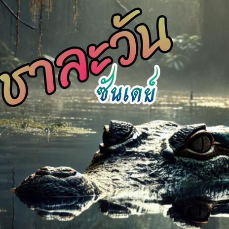 ชาละวันซันเดย์