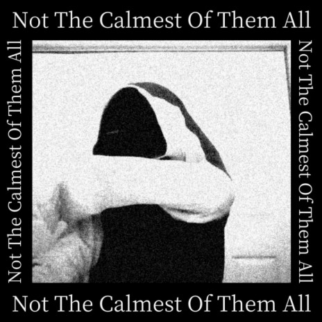 Not The Calmest Of Them All | Boomplay Music