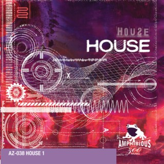 House, Vol. 1