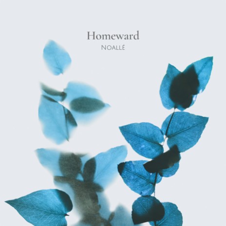 Homeward | Boomplay Music