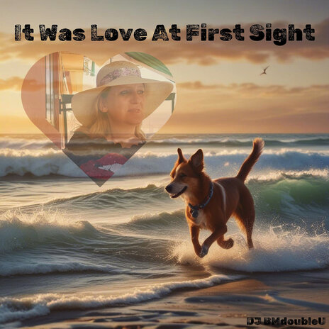 It Was Love at First Sight | Boomplay Music