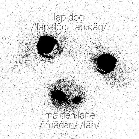 Lap Dog | Boomplay Music