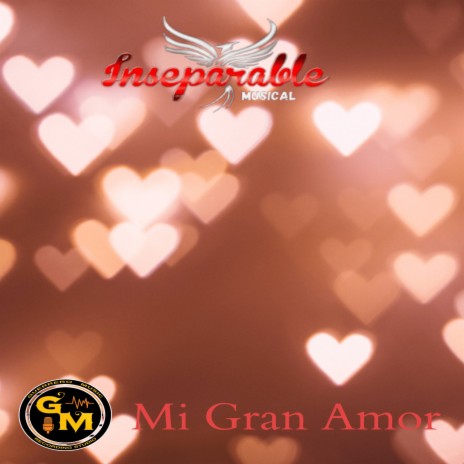 Mi Gran Amor | Boomplay Music