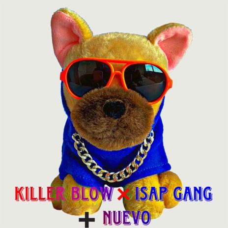 + NUEVO ft. Isap Gang | Boomplay Music