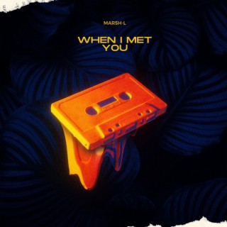 When I Met You