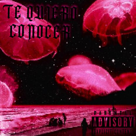 TE QUIERO CONOCER | Boomplay Music