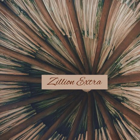 Zillion Extra | Boomplay Music