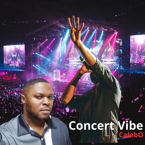 Concert Vibe | Boomplay Music