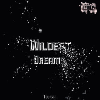 Wildest Dreams