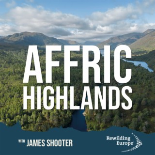 #1 Affric Highlands - Scotland