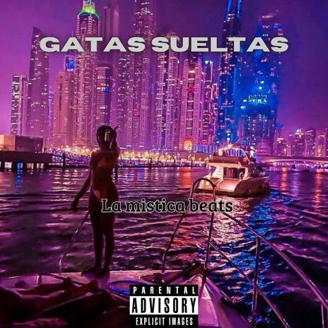 Gatas sueltas | Boomplay Music