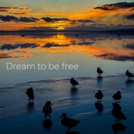 Dream to be free | Boomplay Music