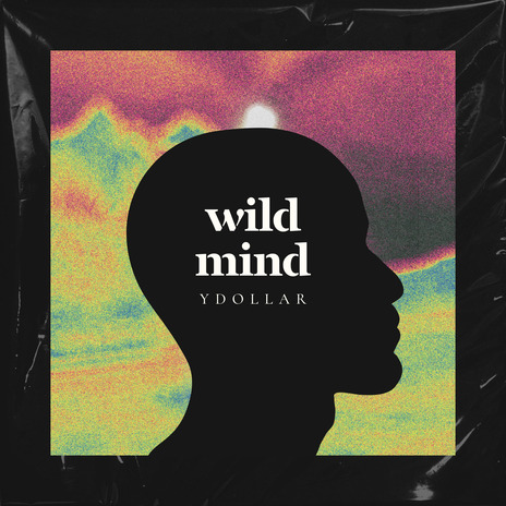 Wild Mind | Boomplay Music