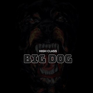 Big Dog